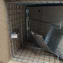 HAVAHART 1079SR Large 1-Door Humane Catch and Release Live Animal Trap Cage - Live Raccoon Trap, for Bobcats, Beavers, Dogs, & More