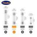 3 x 520mm 1A Fast-Blow Glass Fuse 250V 1 Amp Fuse F1AL250V 20PCS Automotive Fuses Assortment Kit Cartridge Fuse