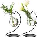 Desktop Glass Plant Propagation Station with Metal Stand,Tabletop Plant Terrarium,Hydroponics Vase for Propagating Hydroponic Office Garden Home Decor, for Weddings, Centerpieces (2)