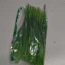 Ouddy Decor 24 Bundles Artificial Plants Outdoors Fake Wheat Grass Faux Greenery Stems Plastic Shrubs UV Resistant for Patio Garden Porch Window Box Spring Home Decor, Green