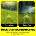 Rodent & Mice Repellent,Indoor/Outdoor/Car Engine Protection,Long-Lasting Peppermint Oil Formula,Safe for Pets & Kids,30-60 Days Effective Mouse Deterrent (18, Yellow)