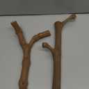 BNOSDM 2PCS Reptile Wood Branches Decor, Lizard Habitat Natural Wood Decoration, Snake Climbing Branch Accessories, Terrarium Tree Trunk Ornament for Bearded Dragon Gecko Frog Chameleon Spider