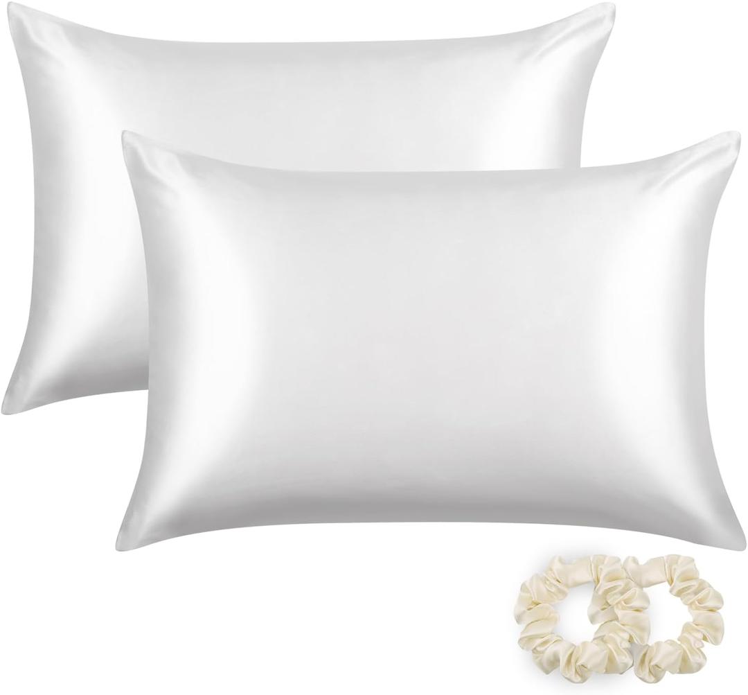 ALASKA BEAR Silk Pillowcases 2 Pack 22 Momme Mulberry Silk Pillow Cases, Queen Size(Set of Two, Cool White)