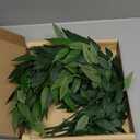 20pcs Artificial Italian Ruscus Greenery Stems  26 Faux Silk Leaf Branches for Wedding Arch, Centerpieces, Bouquets, and Home Decor