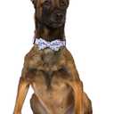 7 x Lamphyface Halloween Dog Collar with Removable Cute Bow Tie Adjustable Pet Collars Large (Skull)