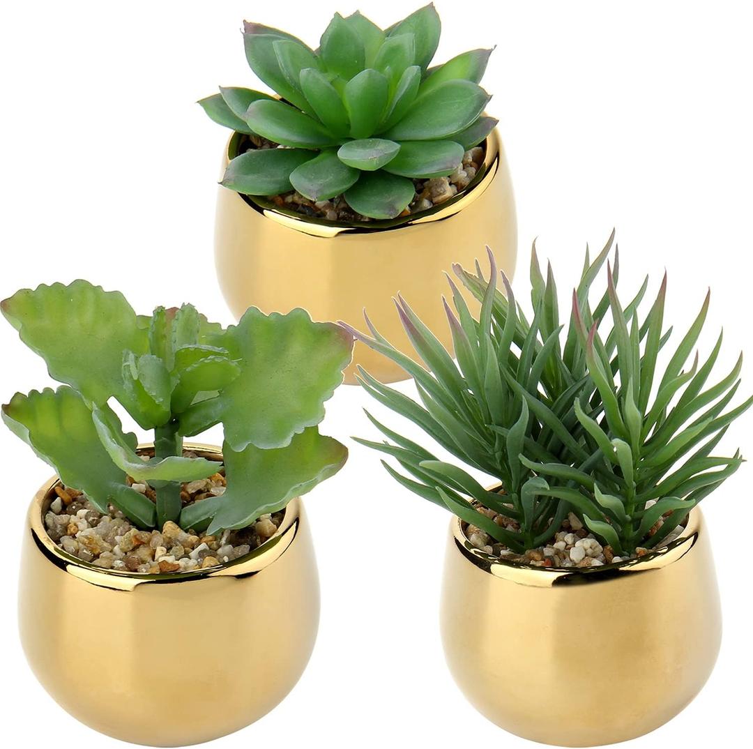 Briful Small Artificial Succulents in Pots Set of 3 Realistic Faux Succulents Plants with Gold Ceramic Pots Cute Mini Fake Plants Decor for Modern Home Table Office Desk Bathroom Shelf Decoration (Style #10)