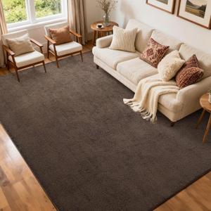 FinRec 5x7 Washable Area Rugs for Bedroom Living Room, Low Pile Thin Rug Solid Color, Non-Slip Carpet Indoor for Home Decor (Pure Brown)