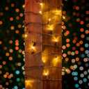100 Warm White Wide Angle LED Mini Lights on Brown Wire 34 Ft Commercial Grade Christmas String Lights, Full Wave No Flicker, Indoor/Outdoor UL Listed, Connect Up to 21 Sets