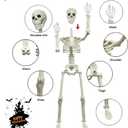 2 x CAMIRUS 2PACK 36" Skeleton Halloween Decorations, 3ft Life Full Size Skeleton with Realistic Posable Movable Joints for Halloween Haunted Houses, Lawn, Graveyard