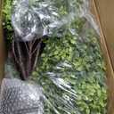 24" Faux Boxwood Plants Outdoor Set of 2, UV-Resistant Topiary Trees Artificial Bushes & Shrubs, Fake Potted Plants Realistic Evergreen for Planters Front Porch Patio Decor 2ft