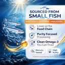 2 x Omega 3 Fish Oil Supplement - 308mg DHA & 154mg EPA, One Daily Burpless Softgel for Brain, Eye & Heart Health - Wild Caught, No Fishy Aftertaste - 60 Count, BBD:  10/03/29