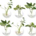 Hanging Wall Planters Pack of 6 Glass Planter Pots Round Glass Flower Vases Hanging Propagation Station Glass Plant Hanger Terrariums Wall Hanging Plant Container