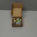 Refintural Miniature Frog Figurines Statue, Adorable Frog Collectibles for Desk and Bedroom Decor, Perfect Indoor Home Decorations and Gifts