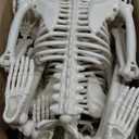 CAMIRUS 2PACK 36" Skeleton Halloween Decorations, 3ft Life Full Size Skeleton with Realistic Posable Movable Joints for Halloween Haunted Houses, Lawn, Graveyard