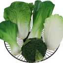 Woration Green Artificial Vegetables Set Lifelike Lettuce Broccoli Cabbage PU Food Model Decoration for Home Kitchen Shop Cabinet Supermarket Garden DIY Garland 5pcs