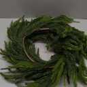 6FT Christmas Norfolk Pine Garland -1PCS, Artificial Pine Needles Garlands Faux Greenery Fake Garland for Holiday Fireplace,Table,Window,Stairs,Mante,Indoor Outdoor Decor