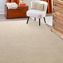 Hutha Area Rug for Bedroom Living Room, 4x6 Beige Solid Fluffy Super Soft Furry Bedside Carpets, Modern Indoor Floor Rug Aesthetic Minimalist Rug for Kids Girls Boys Home Decor