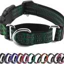 Hikiko Martingale Dog Collars Reflective Nylon Dog Collar with Quick Release Buckle Adjustable Training No Slip Dog Collar (Small, Dark Green)