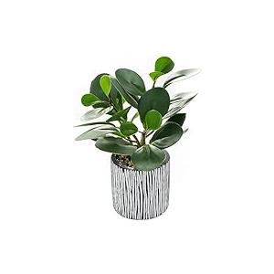 AlphaAcc Artificial Succulents Plants Decor Greenery Fake Succulents Indoor Potted Fake Plant with Rustic Black Clay Planter for Farmhouse Room Bathroom Bedroom Kitchen Office Dese Coffee Table Decor (12.8" H)