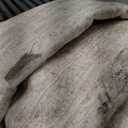 Area Rugs for Living Room: 5x7 Washable Neutral Abstract Rug for Bedroom Large Soft Modern Dining Room Rugs Indoor Floor Low Pile Carpet for Home Office Nursery - Brown Grey