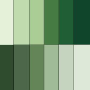 VIVIQUEN 24 Sage Green Pattern Double-Sided Paper, 12-inches Solid Color Textured Scrapbook Paper for DIY Background Card Making