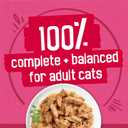Purina Friskies Gravy Wet Cat Food Variety Pack, Surfin and Turfin Prime Filets Favorites - 48 ct. Can (EXP 05/01/27)