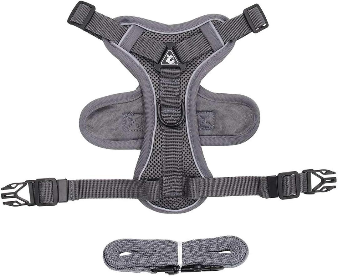 Cat Harness with 1.5m Traction Leash for Small Medium Dog No Pull Breathable Reflective Adjustable (XL, GRAY)