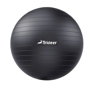 Trideer Extra Thick Yoga Ball Exercise Ball, Gym Ball, Heavy Duty Ball Chair for Balance, Stability, Pregnancy, Quick Pump Included
