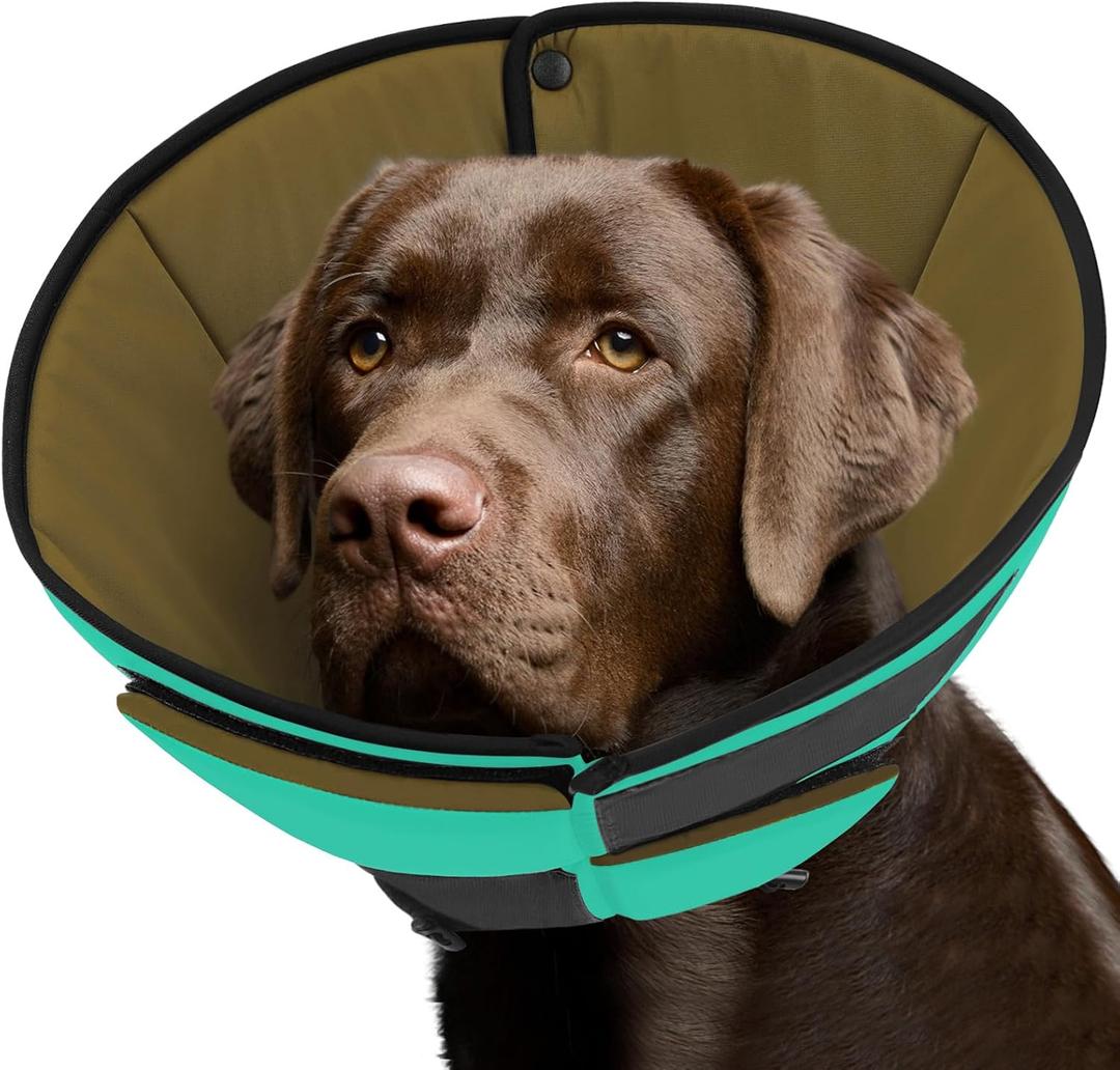 Queenmore Soft Cone for Dogs After Surgery, Dog Cones for Large Dogs to Stop Licking, Soft Dog Cone, Elizabethan Collar for Pets, Alternative Pet Recovery Collar for Wound Healing, (Green, L)