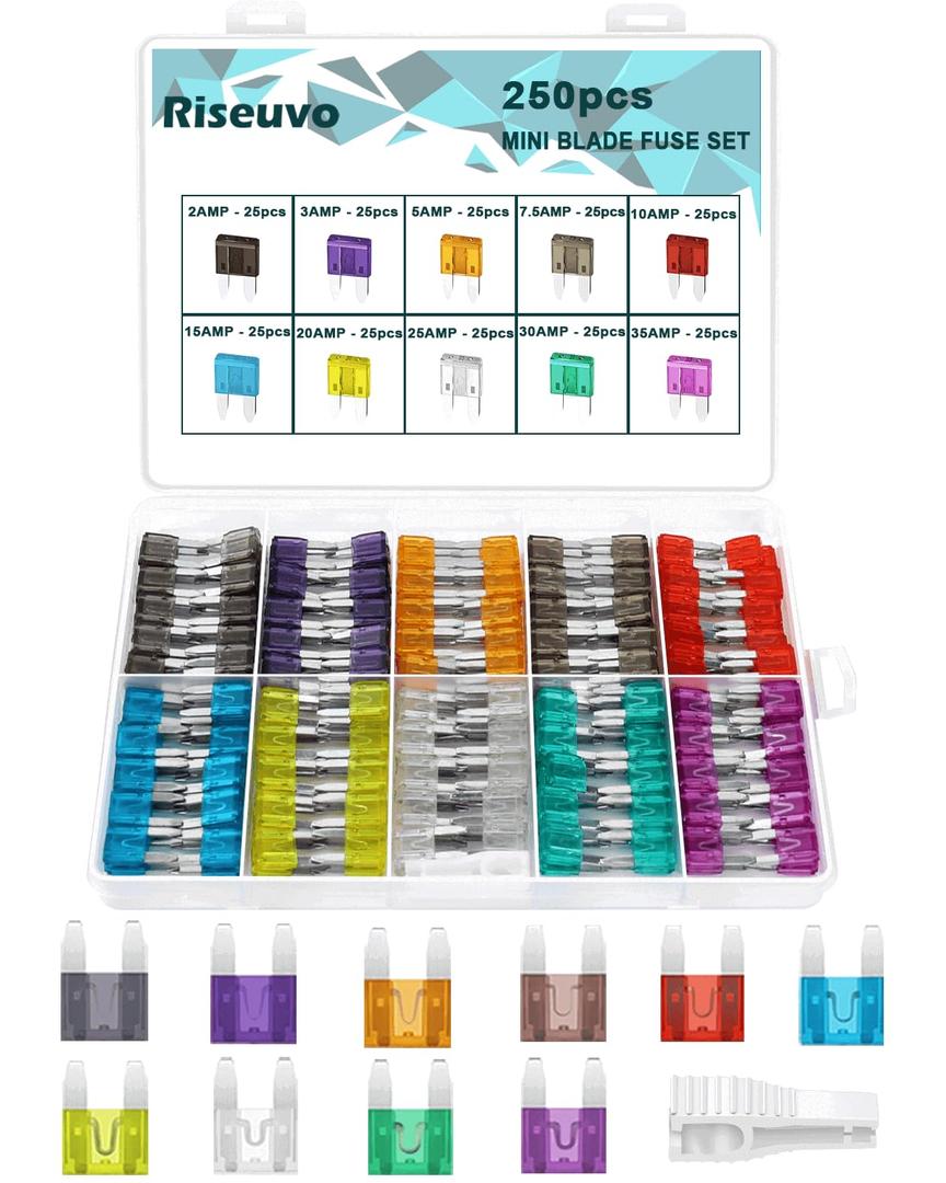 Riseuvo 250 Pcs Mini Fuse Kit - Automotive ATM Blade Fuses Assortment Kit for Cars, Trucks, RVs and Motorcycles with Fuse Puller (2A 3A 5A 7.5A 10A 15A 20A 25A 30A 35A)