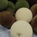 Liliful 15 Pcs Velvet Christmas Balls Bulk Flocked Christmas Tree Ball Ornaments Plastic Xmas Decorative Hanging Ornaments(Brown, Green, Beige,3.15 Inch)