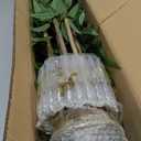 Artificial Bamboo Tree, 5 ft Fake Tree, Faux Silk Plant with Pot, Fake Plants for New Year Home Office Indoor Outdoor Decor, 5 Natural Bamboo Trunks