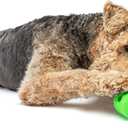 GURU Pet: Adjust-A-Chew - Medium - Dog Toy, Holds Various Shaped Treats & Bones, Bacon-Flavored Textured Ends, Durable Bone-Shaped, Interactive Play