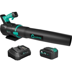 DEXSO Clearance Cordless Leaf Blower - 650 CFM / 200 MPH 2 Speed 21 V Lithium-ion 4.0Ah Battery and Charger Included, Lightweight Electric Leaf Blowers for Lawn, Yard Care, Leaves, Dust