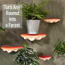 Red Mushroom Shelves Decoration - 5PCS Floating Display Goblincore Shelves, Small Wall Shelf for Bedroom, Cottagecore Aesthetic Furniture, Forest Decor, Reptile, Leopard Gecko Tank Accessories