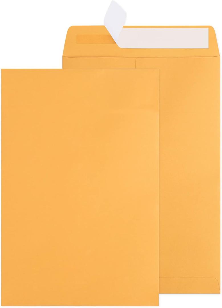 6x9 Catalog Envelopes 100 Pack Small Envelopes Brown Kraft Self Seal Security Mailing Envelopes for Documents, Cards, Photos, Office, Business