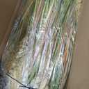 Jexine 6 Pcs Tall Artificial Grass Plant 4 ft Potted Artificial Greenery Floor Plants Faux Pampas Grass Tall in Pot for Housewarming Gift House Garden Bathroom Lobby Outdoor Decoration