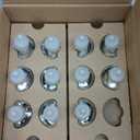 Air Wick Plug In Scented Oil Refill,Fresh Waters, 10 ct