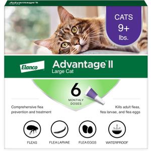 Advantage II Large Cat Vet-Recommended Flea Treatment & Prevention | Cats Over 9 lbs. | 6-Month Supply (6-Pack) Advantage II Large Cat Vet-Recommended Flea Treatment & Prevention | Cats Over 9 lbs. | 6-Month Supply (6-Pack)