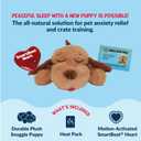 Snuggle Puppy Junior Biscuit