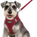 Eagloo Small Dog Harness and Leash Set, Step in Puppy Vest with Breathable Soft Mesh, Walking Reflective Pet Harness for Small Dogs, Red, S (S(Chest:15.1"-16.5"))