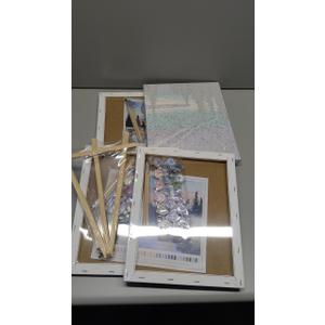 Paint By Numbers 4 Pack