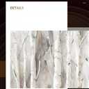 Large White Birch Trees Picture Wall Art Landscape Forest Wall Painting for Living Room Bedroom Office Home Decor 28x56 inches (28L" x 56W")