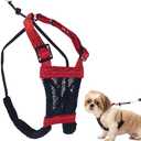 Sporn No Pull Dog Harness for Small-Sized Dogs - Red Mesh, Heavy Duty Nylon, Breathable, Lightweight, Adjustable, Padded, Soft & Easy, Anti-Pull & Anti-Rub Body Halter, Small Dog Harness for Puppies, Size: Small
