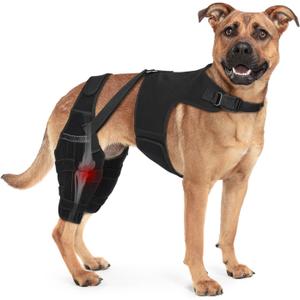 Dog Knee Brace Double Leg Support with Vest - Orthopedic Joint Stabilizer for ACL Tear, Arthritis, Patella Recovery - Adjustable Non-Slip Recovery Brace for Small Middle Large Dogs (Black,XL)