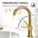 KENES Brushed Gold Single Handle Bathroom Faucets Modern Prep Wet Bar Sink Faucets Bathroom Sink Faucet with Drain Assembly & Deck Plate, Farmhouse RV Camper Outdoor Utility Faucet, KE-9005B-4