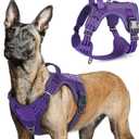 rabbitgoo Tactical Dog Harness for Large Dogs, No Pull Military Service Vest with Handle & Molle, Easy Control for Training Walking, Adjustable Reflective Straps, Purple, Large