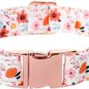 Lionet Paws Dog Collar, Adjustable Cute Collar with Metal Buckle for Male Female Puppies,Summer Flower, Large, Neck 16-24 inches