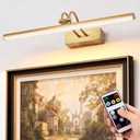 Picture Light,Picture Lights for Wall Cordless,20" Picture Lights with Timer and Dimmable,Battery Wall Lights for Display Gallery Painting Art Frame Portrait-Brass