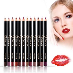 Lip Liner, 12pcs/set Waterproof Long-lasting Lip Liner Pencil Lipliner Pen Makeup Cosmetic
